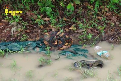  Pieces of Dead Bodies Found in Clashes Area of Rakhine