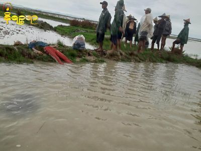 4 Rakhine farmers killed in lightning, 1 seriously injured