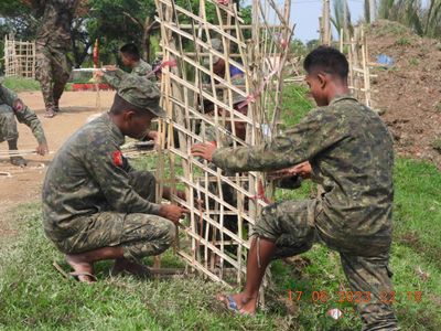 ULA/AA replants shade trees as many uprooted by cyclone Mocha