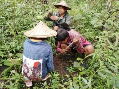 Commemorating Uttama Day 840 saplings planted in Ann