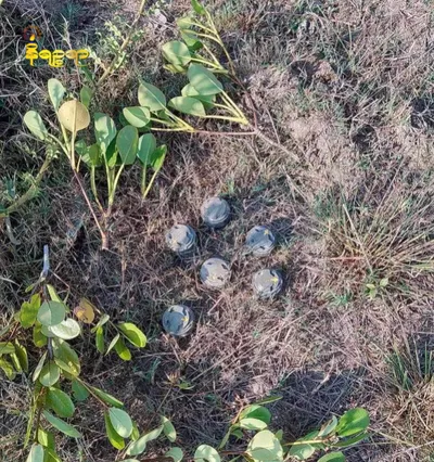 AA clears junta planted landmines in Kyaukphyu