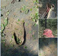 After landmine encounter, soldiers intensify search operation in Mrauk-U 